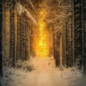 Meet your Posher, Melindapettit